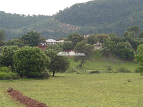 albacete land for sale|Plots of land for sale in Albacete .